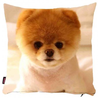 Köpekli Yastık Kılıfı-32